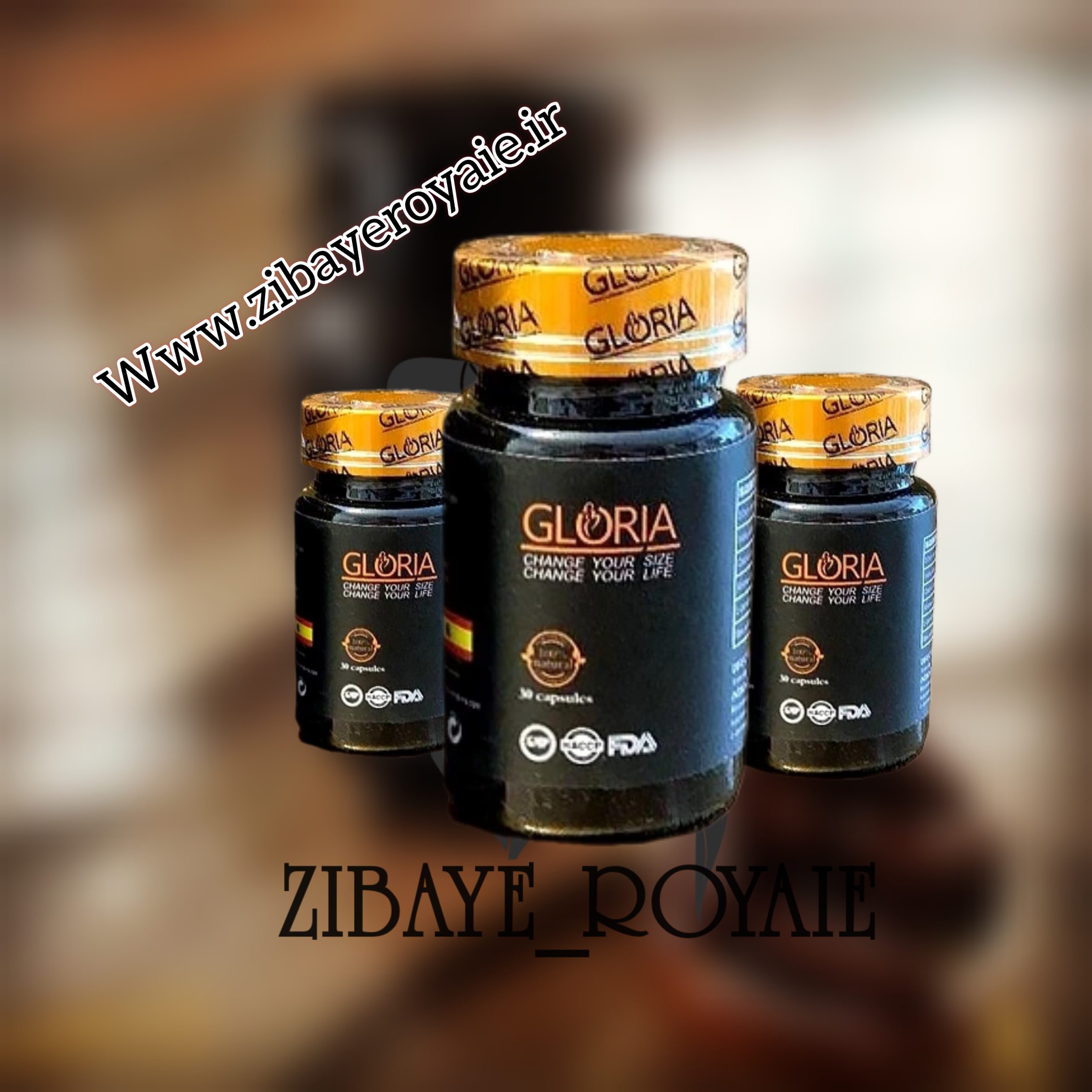 گلوریا درب طلایی