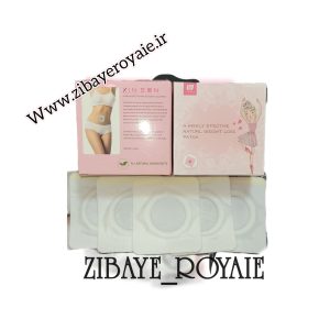 چسب لاغری شین سان